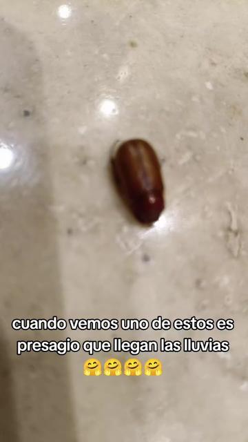 @🔥 💞💞𝑆𝐸𝑉𝐼𝑆💞💞🔥