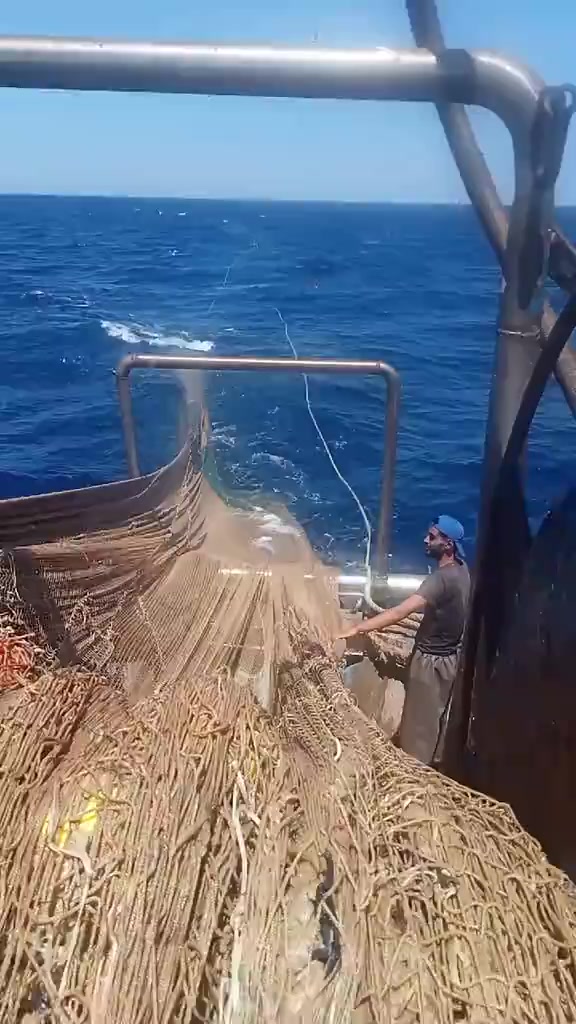 @🛳️hàmìdø⚓⚡Ræysë🐬🏴☠️