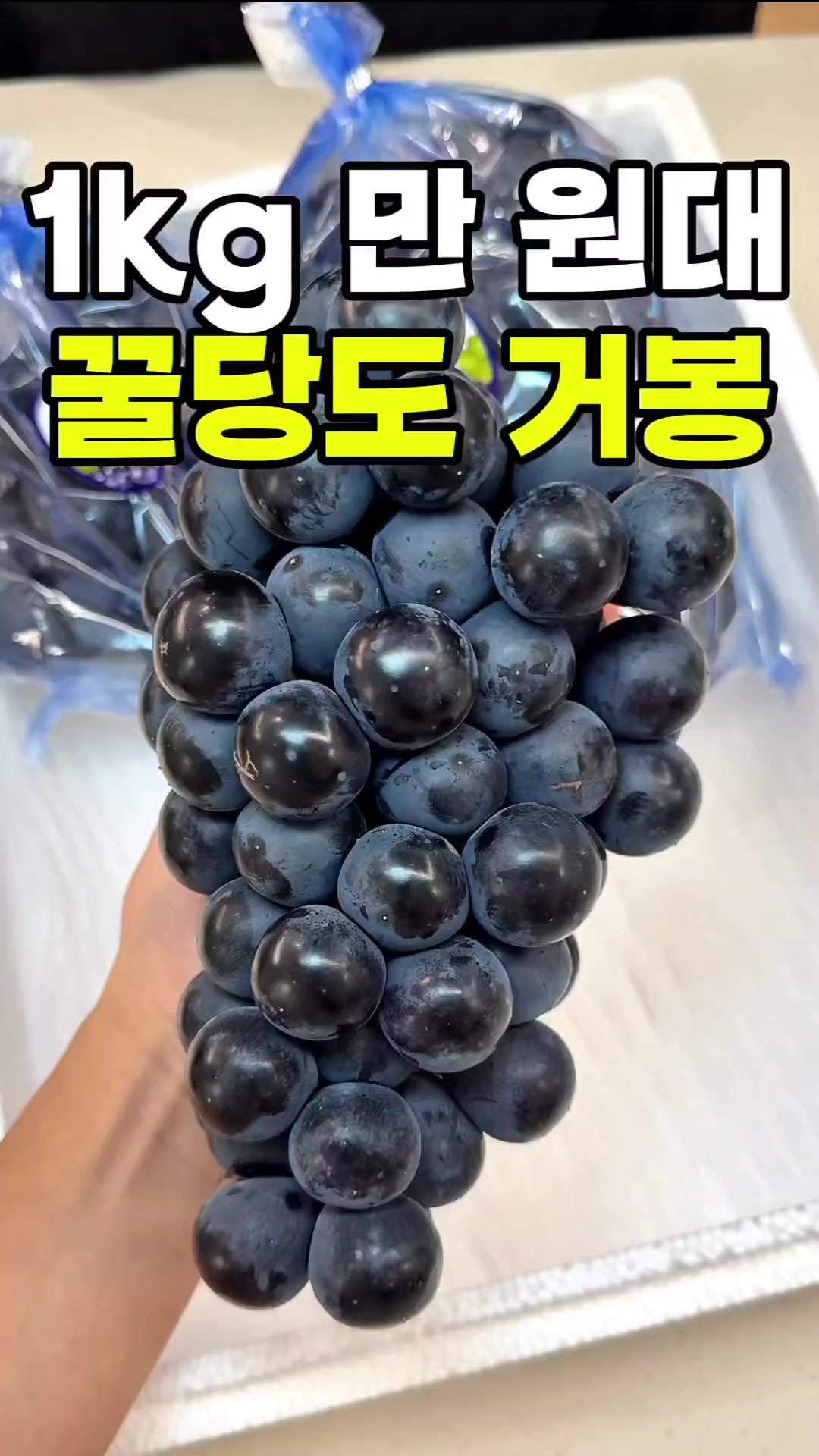 @싱싱햇 - 365일 싱싱한 햇 제철 먹거리