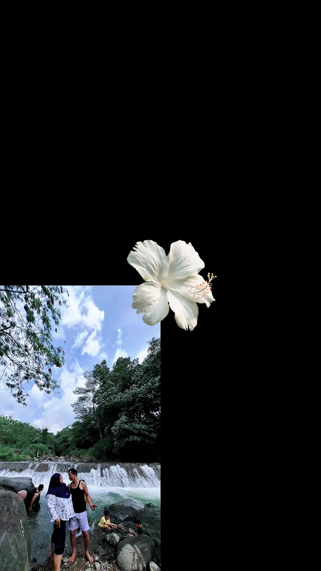 @🌷BOLO BOLO 🌷