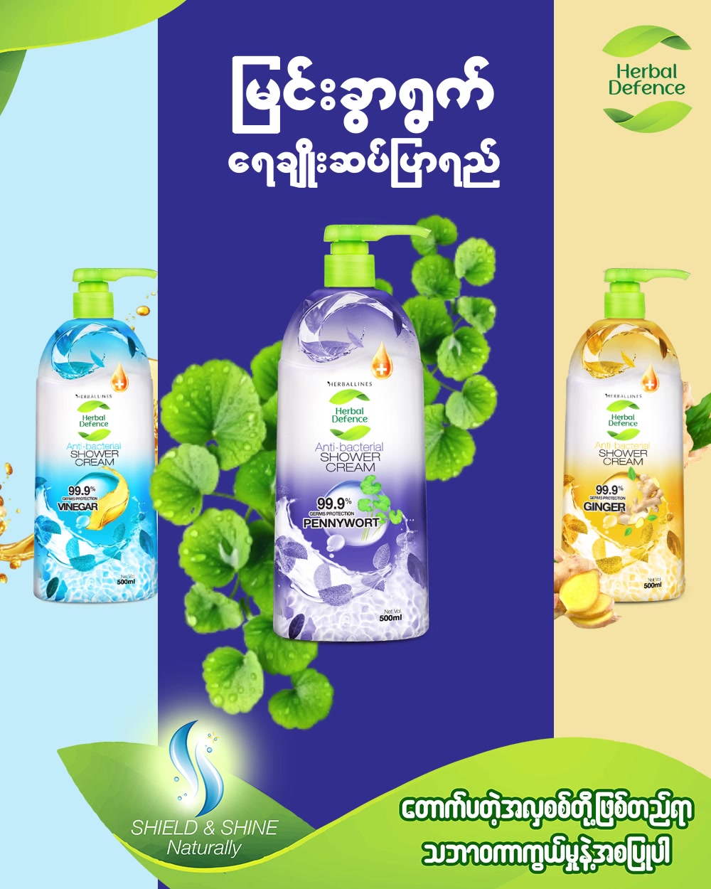 @HerbalDefence Myanmar