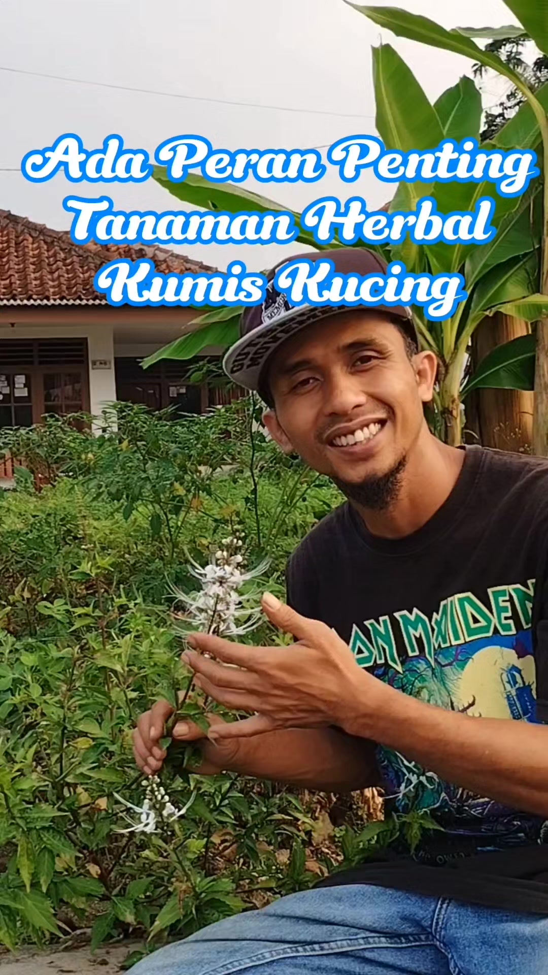 @Bukit Farming