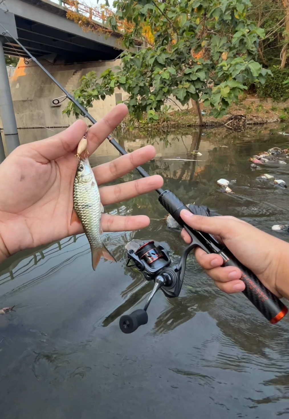@Andalan Mancing