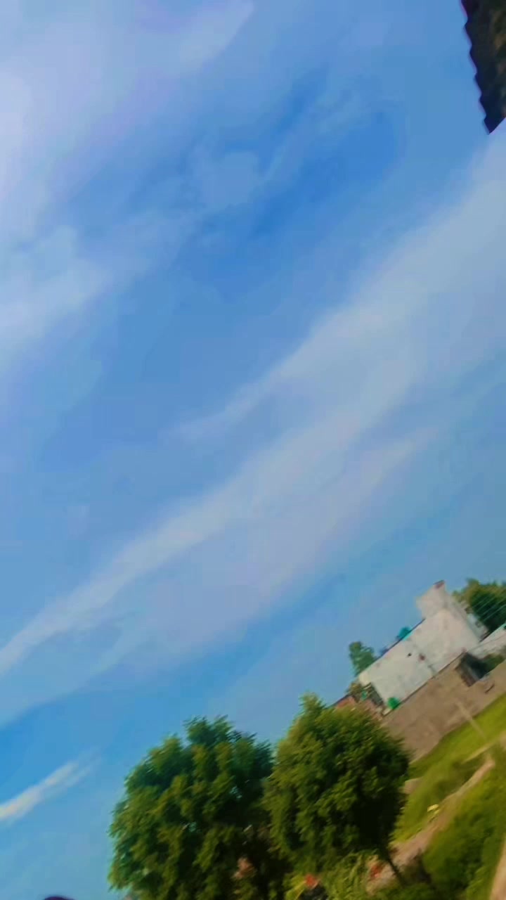 @🦚💙✨