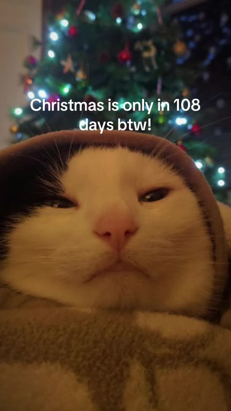 @christmas vibes!