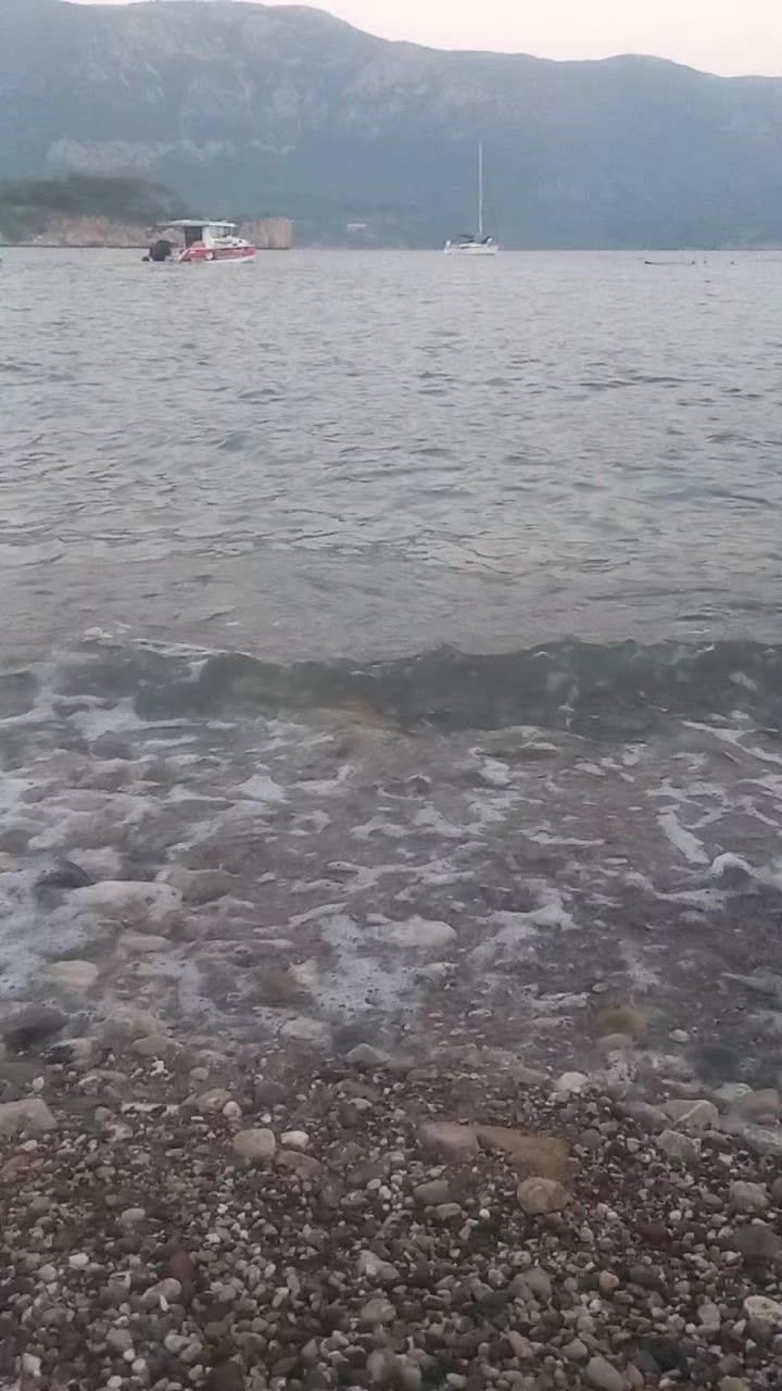 @Tuğba karatekin 🦂