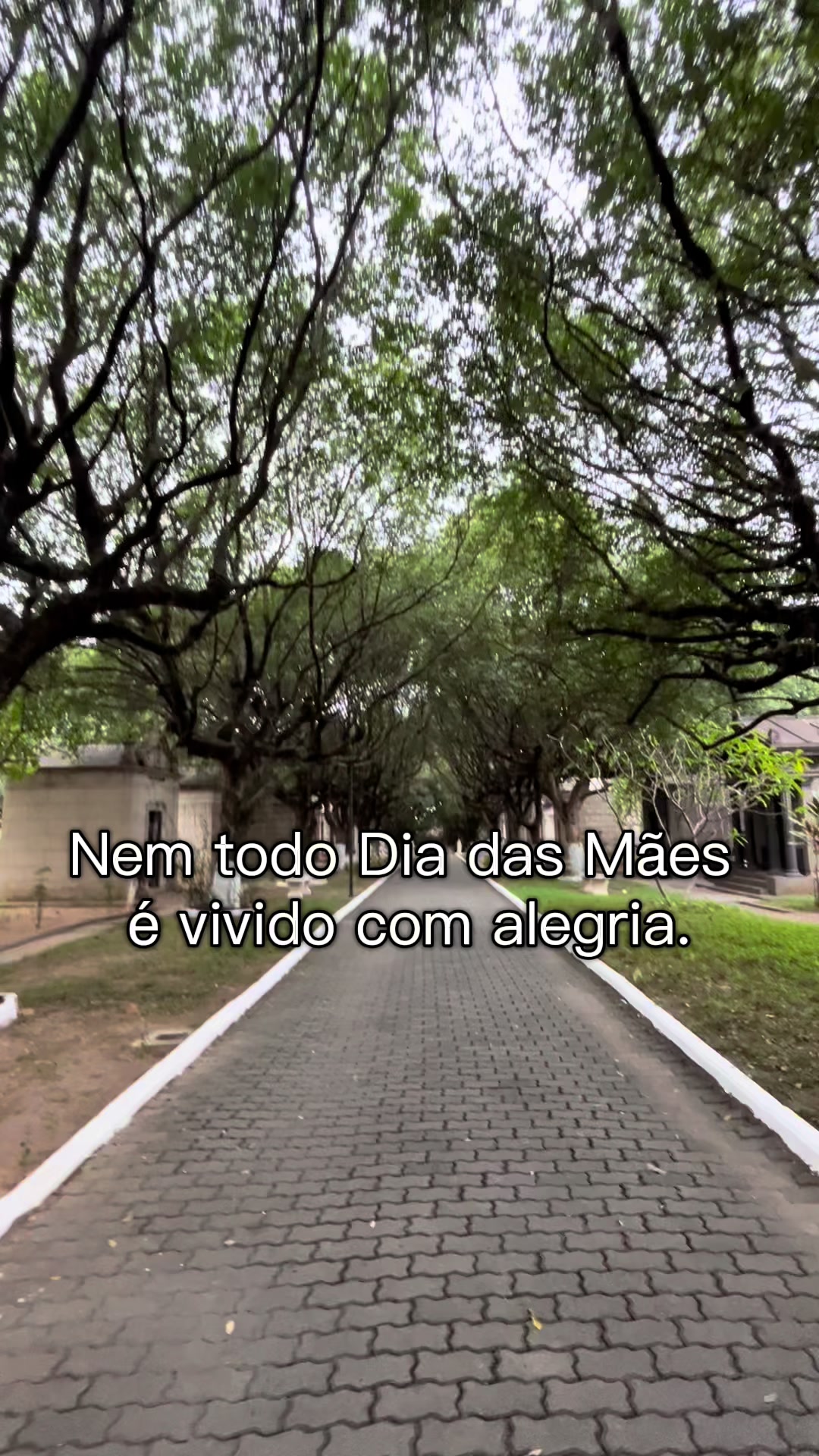 @Comandante Felipe