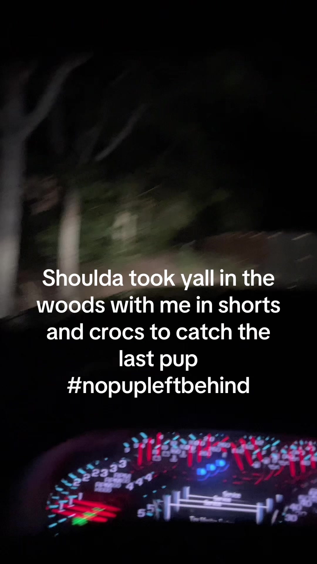 @3DeepKennels