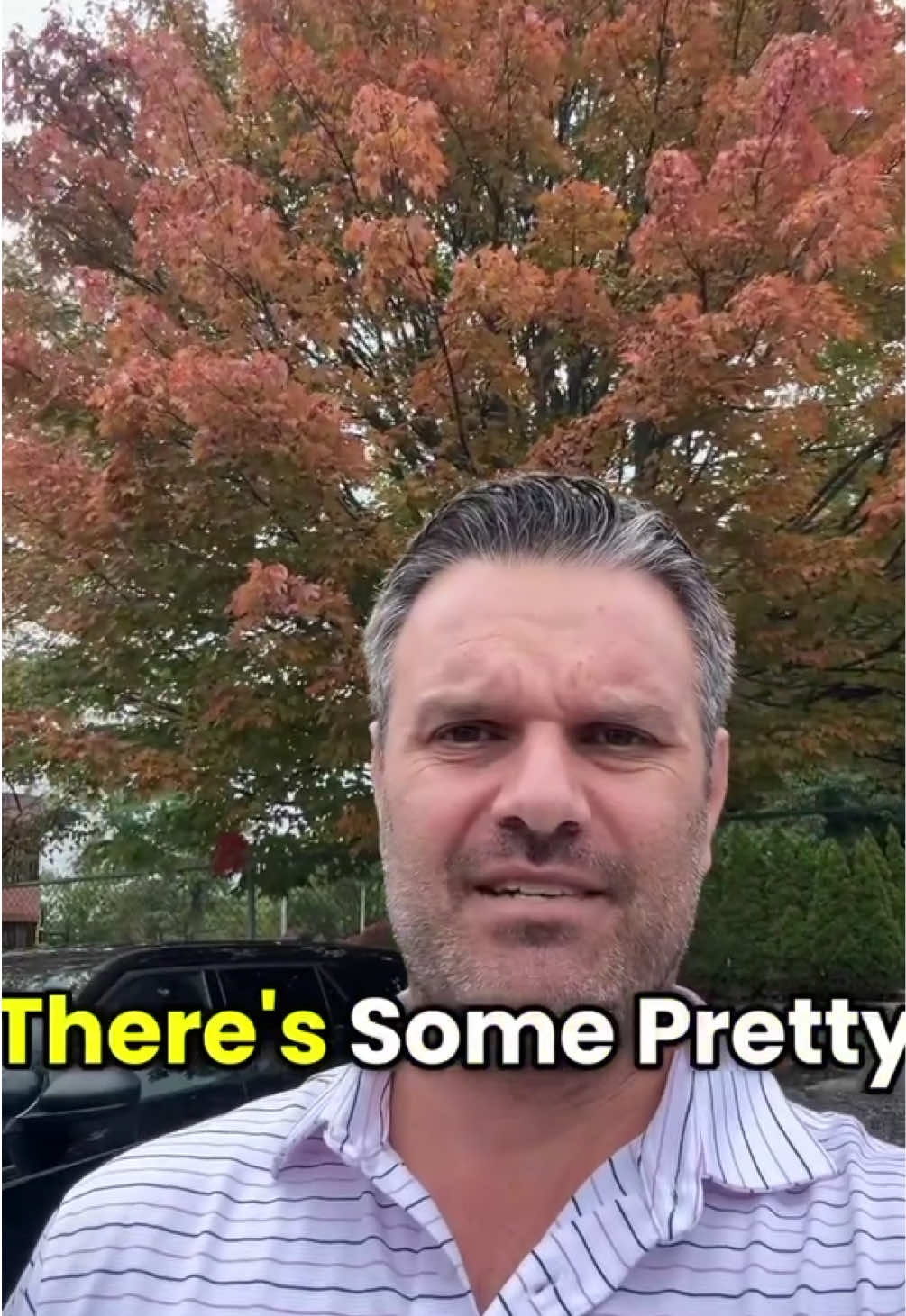 @WBZ-TV