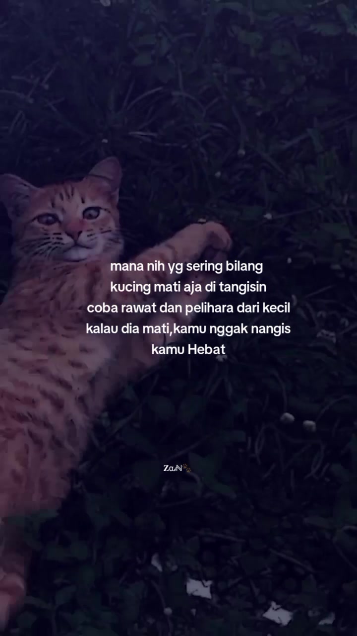 @๐α๐พโ๐พ