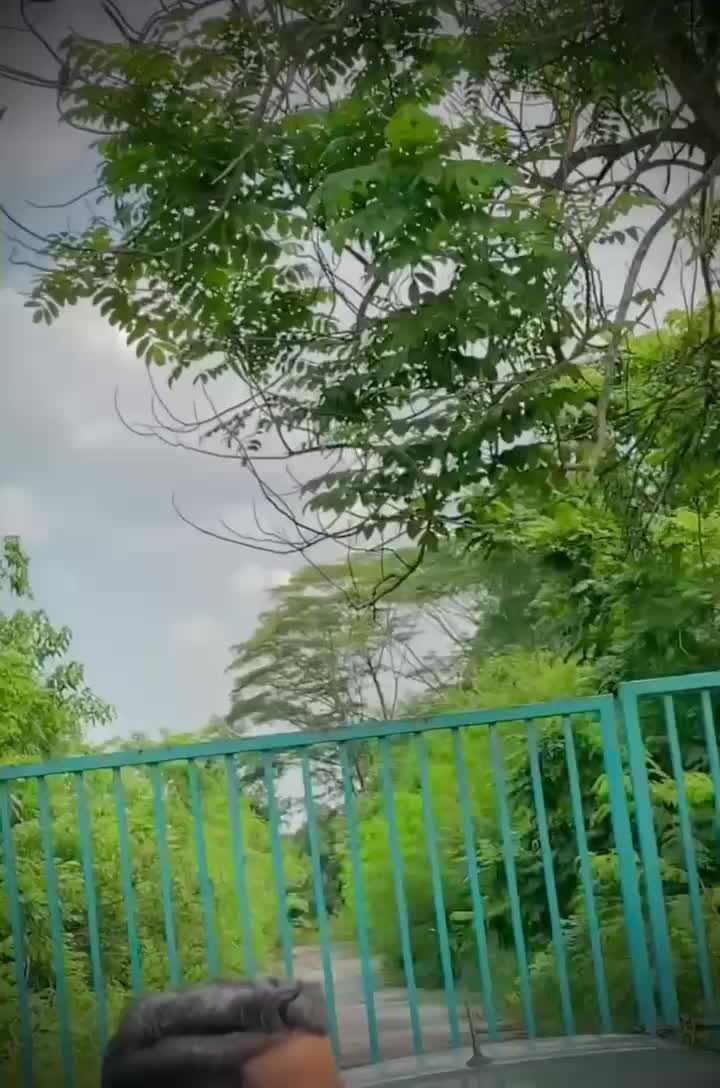 @Mitra n 🤍🫧