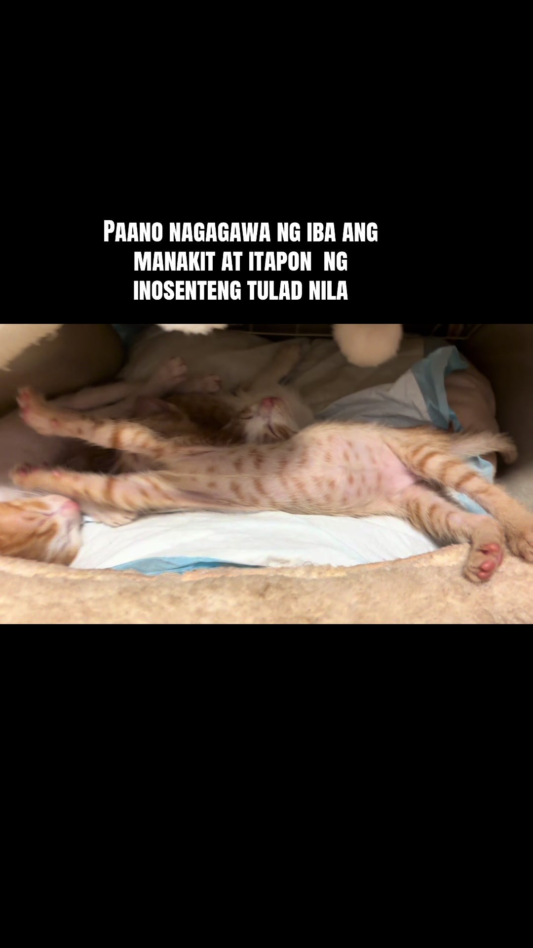 @Mhirayph