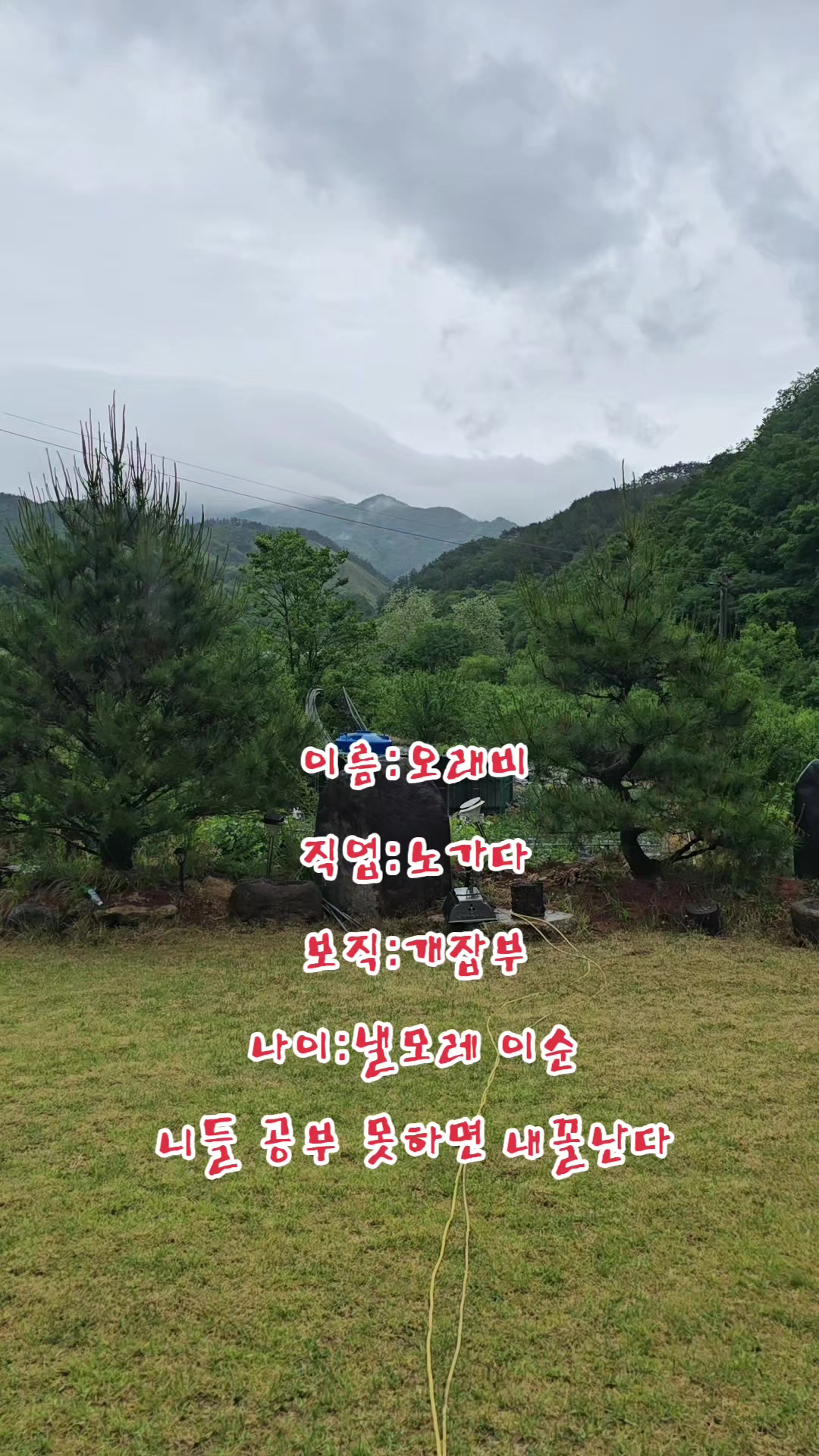 @나는 자연인이다 ~🤪