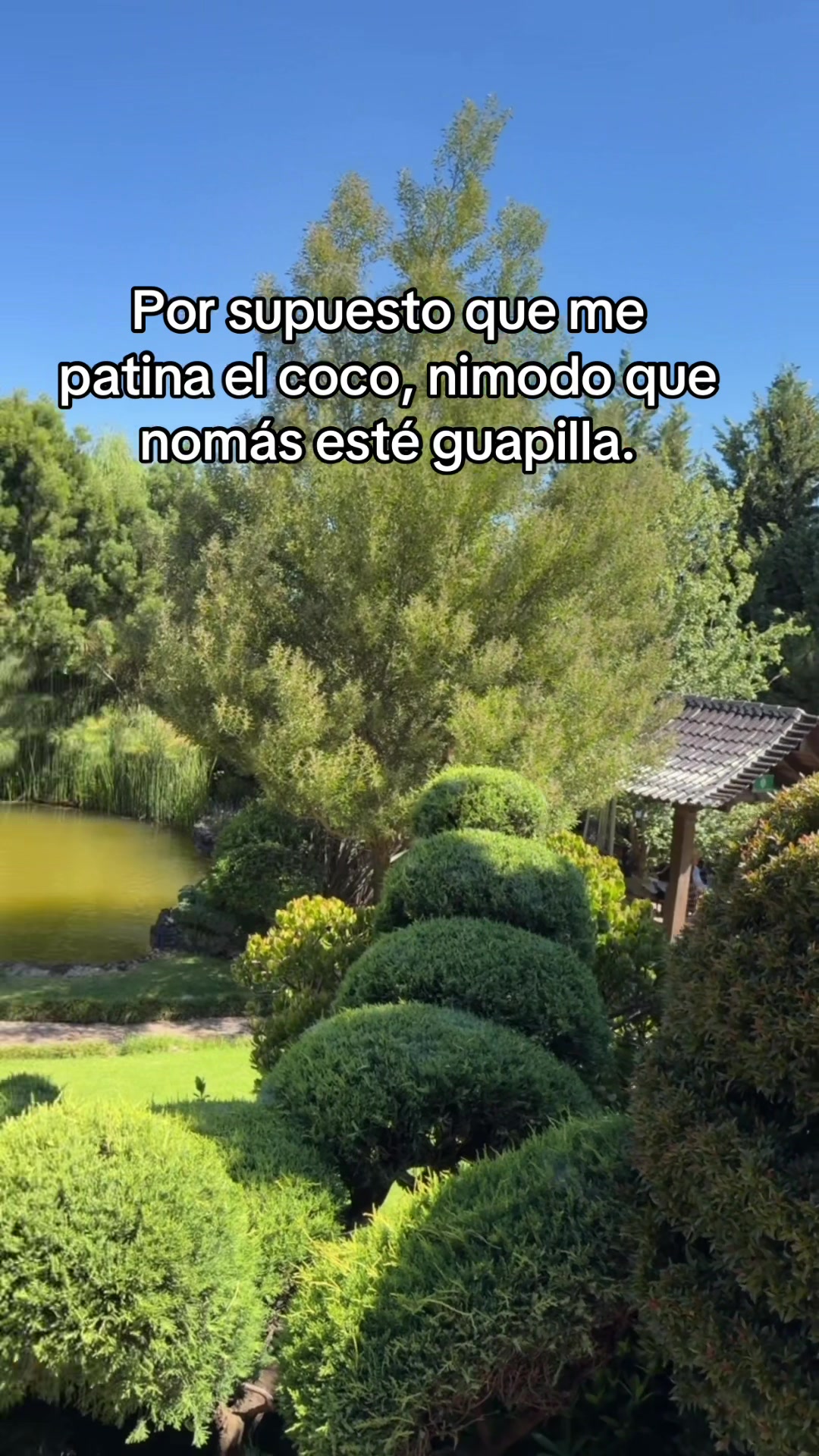 @Ile-ana