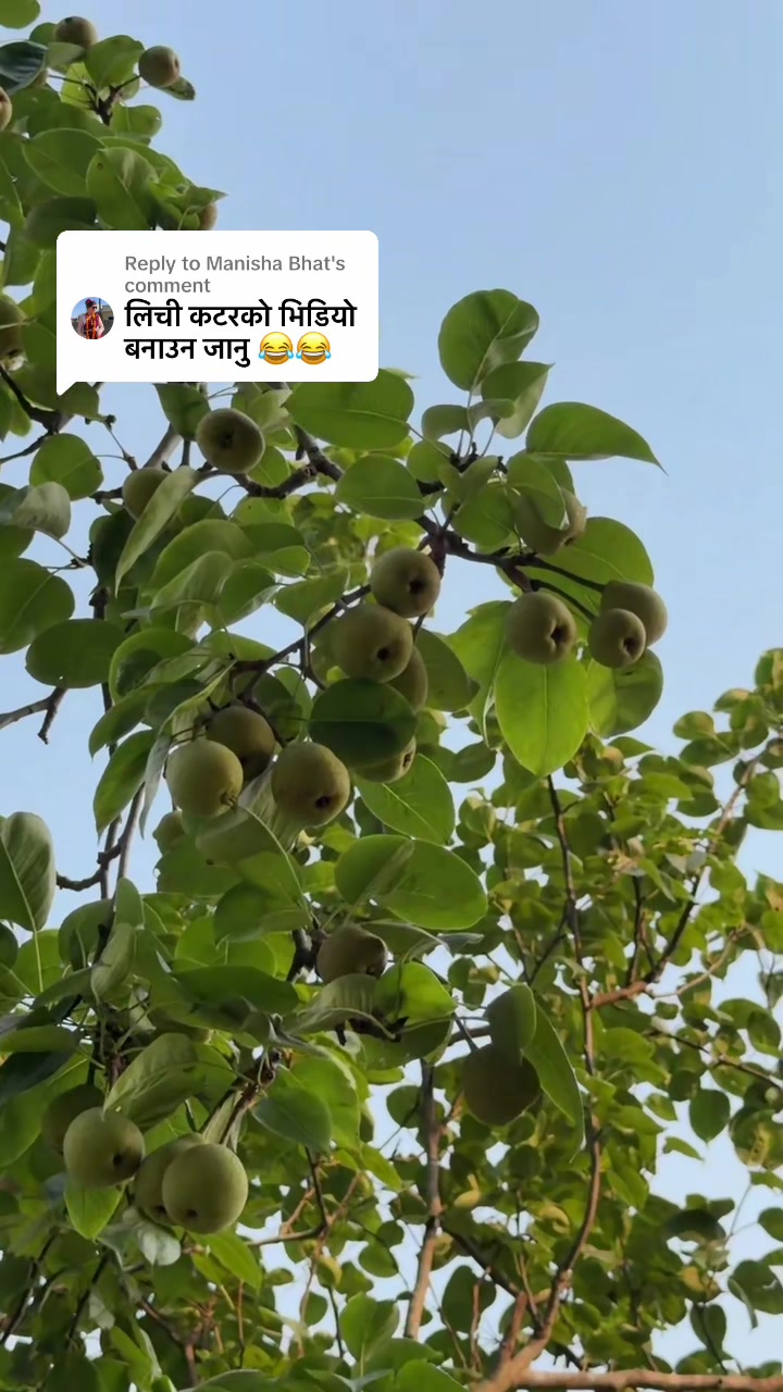 @Bimu Mahara 🧿❤️ 🍒