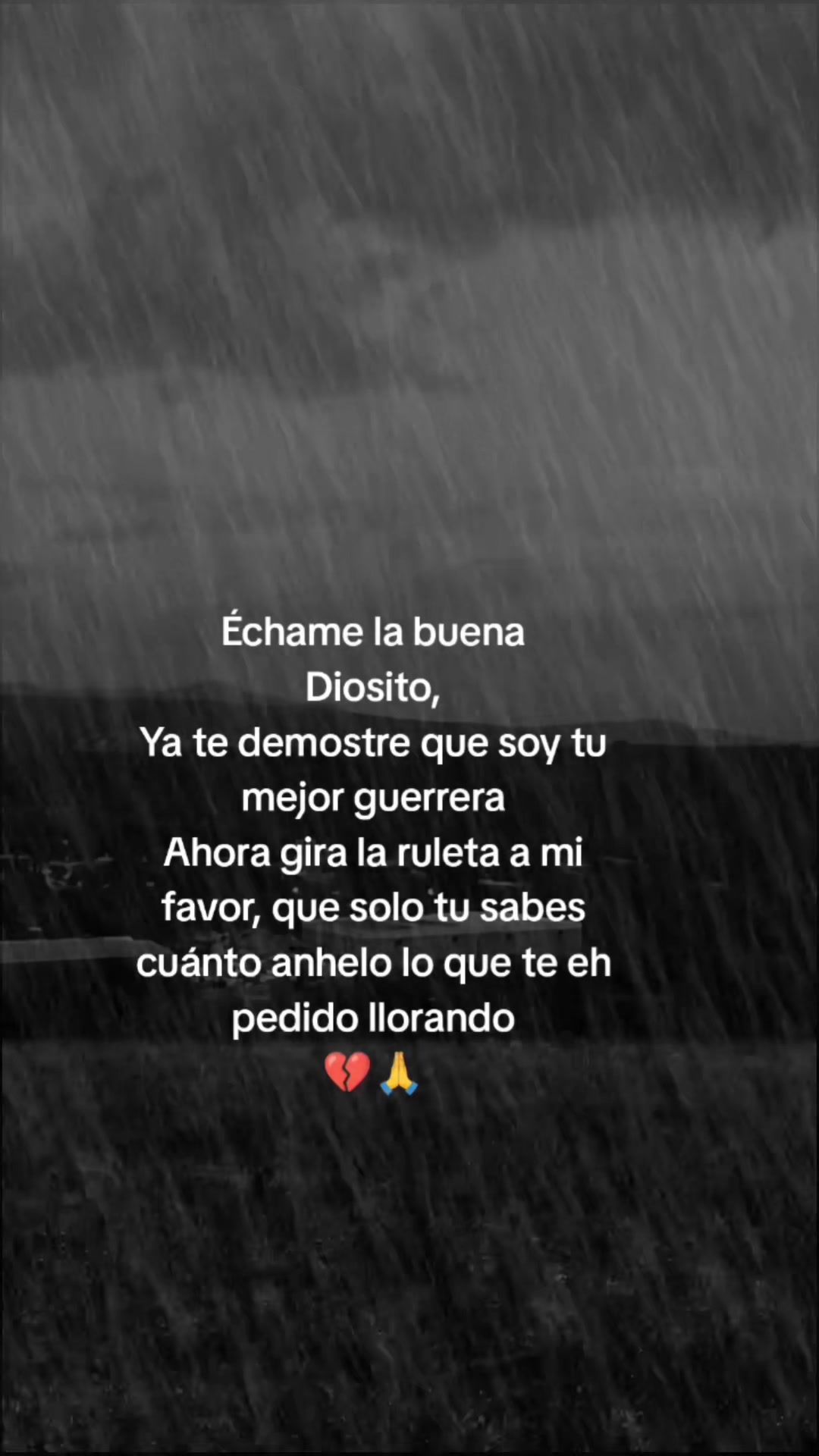 @ALISSON OFICIAL 💜