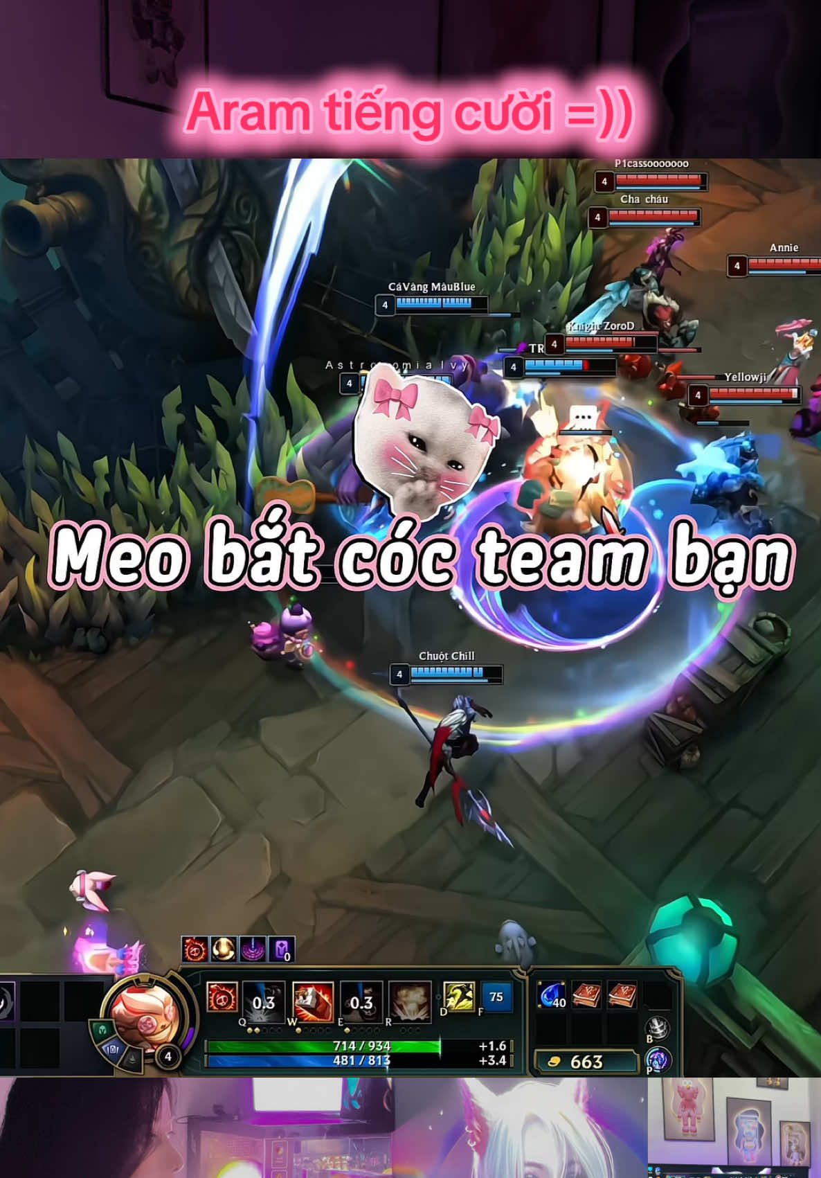 @Meo Mel