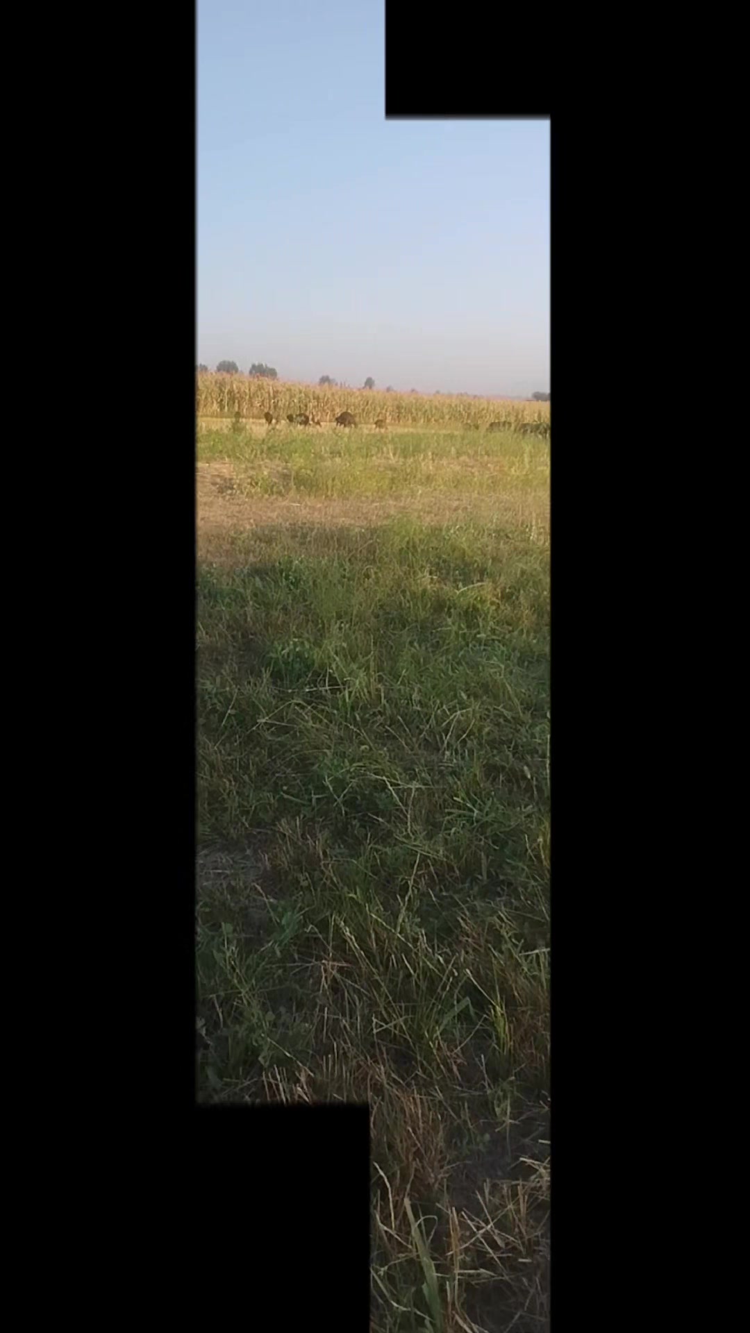 @Айдаров А