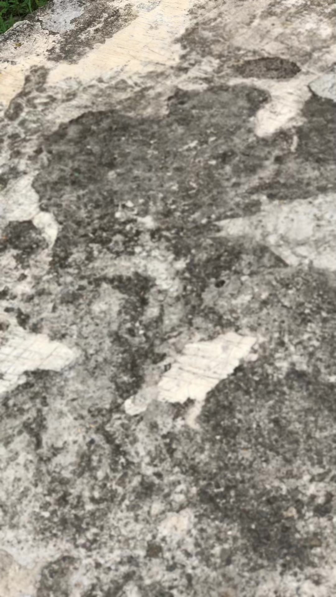 @𝙑𝙚𝙣𝙠𝙮𝙮