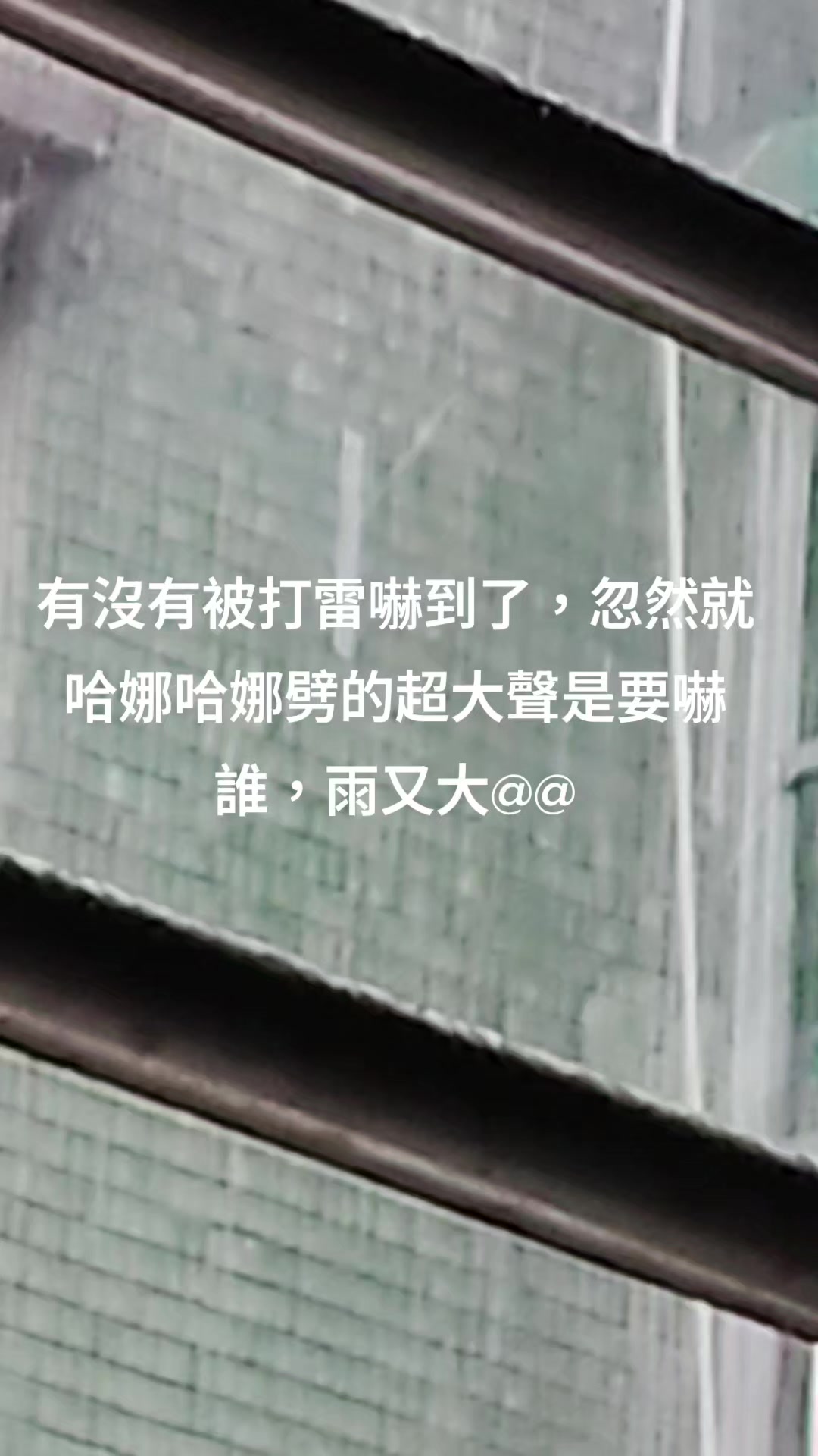 @好運蓮蓮
