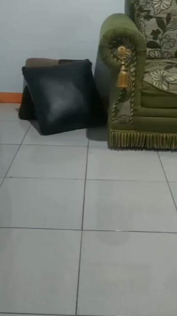 @🦋𝐃Ẹ尺𝐞Ĺ
