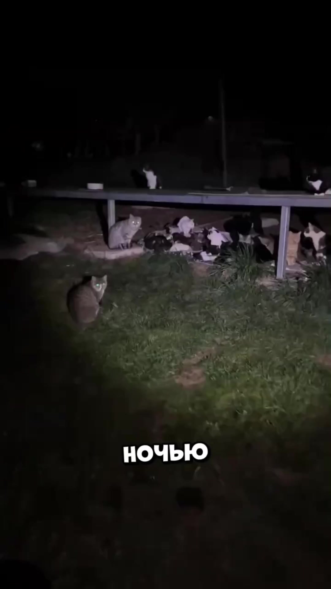 @ухожу нахуй
