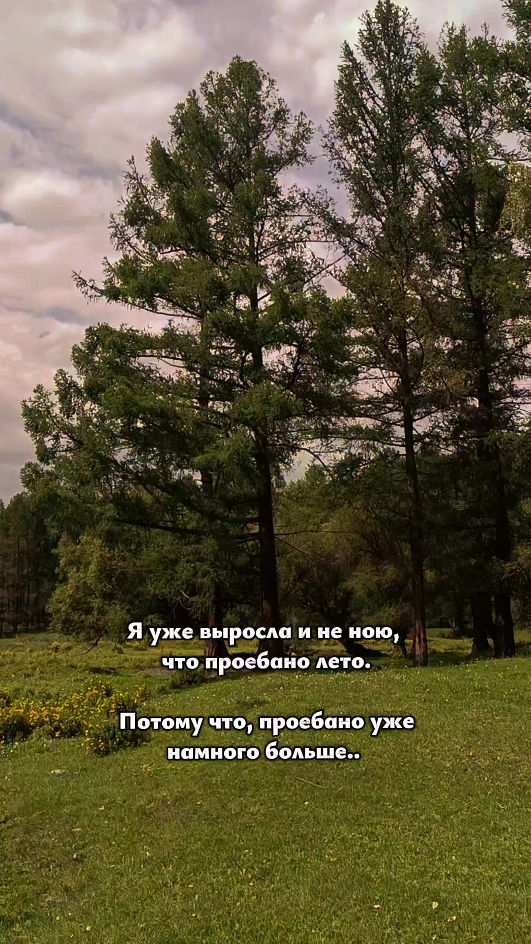 @꧁✟𝓓𝓲𝓪𝓷𝓪✟꧂