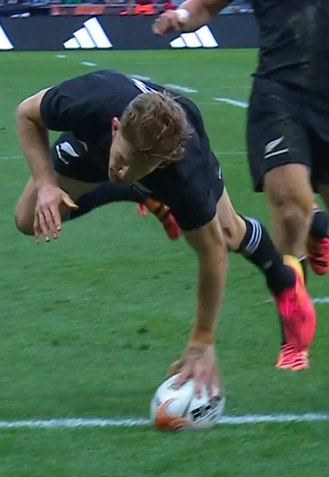 @AllBlacks