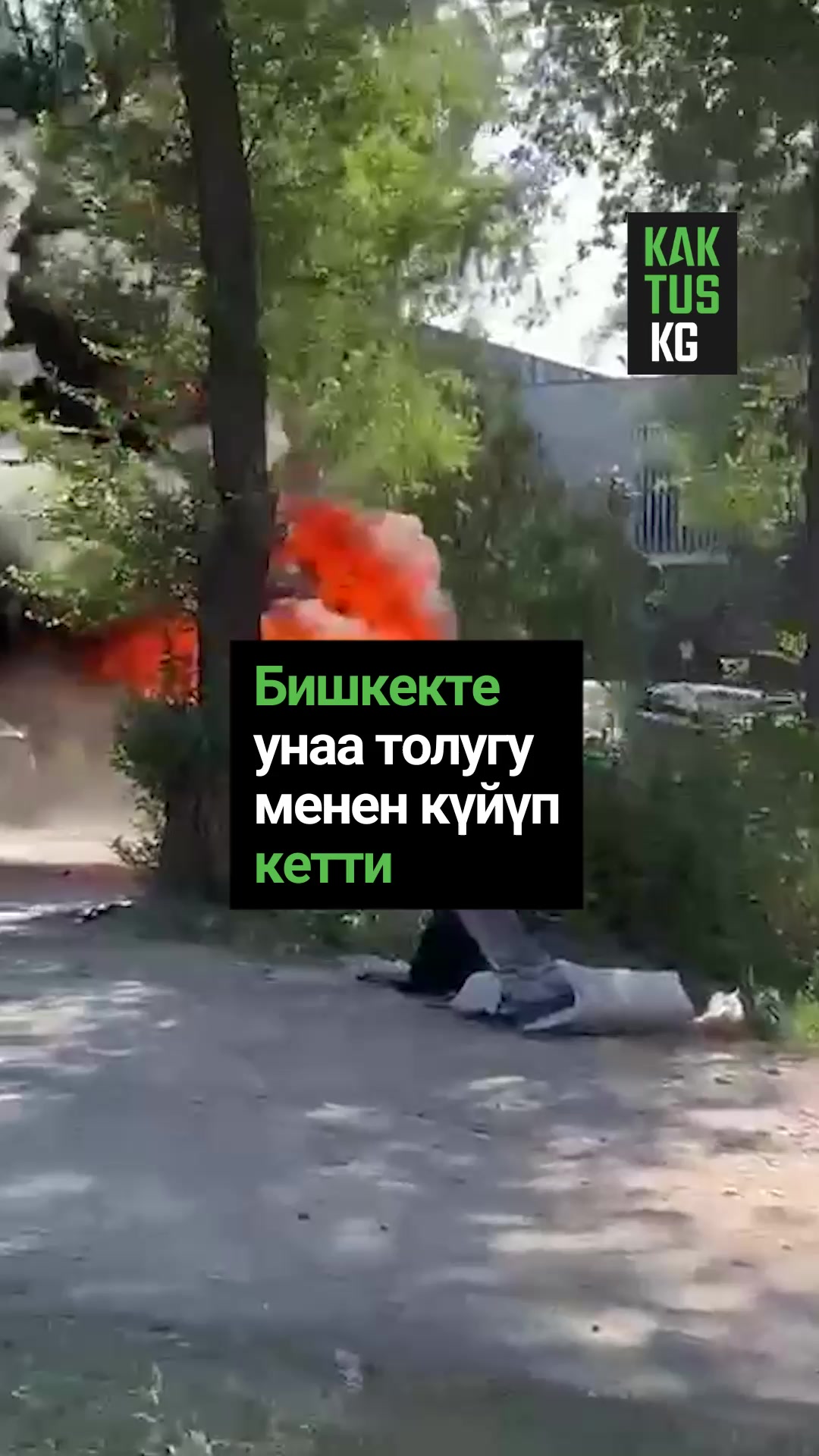 @Kaktus KG