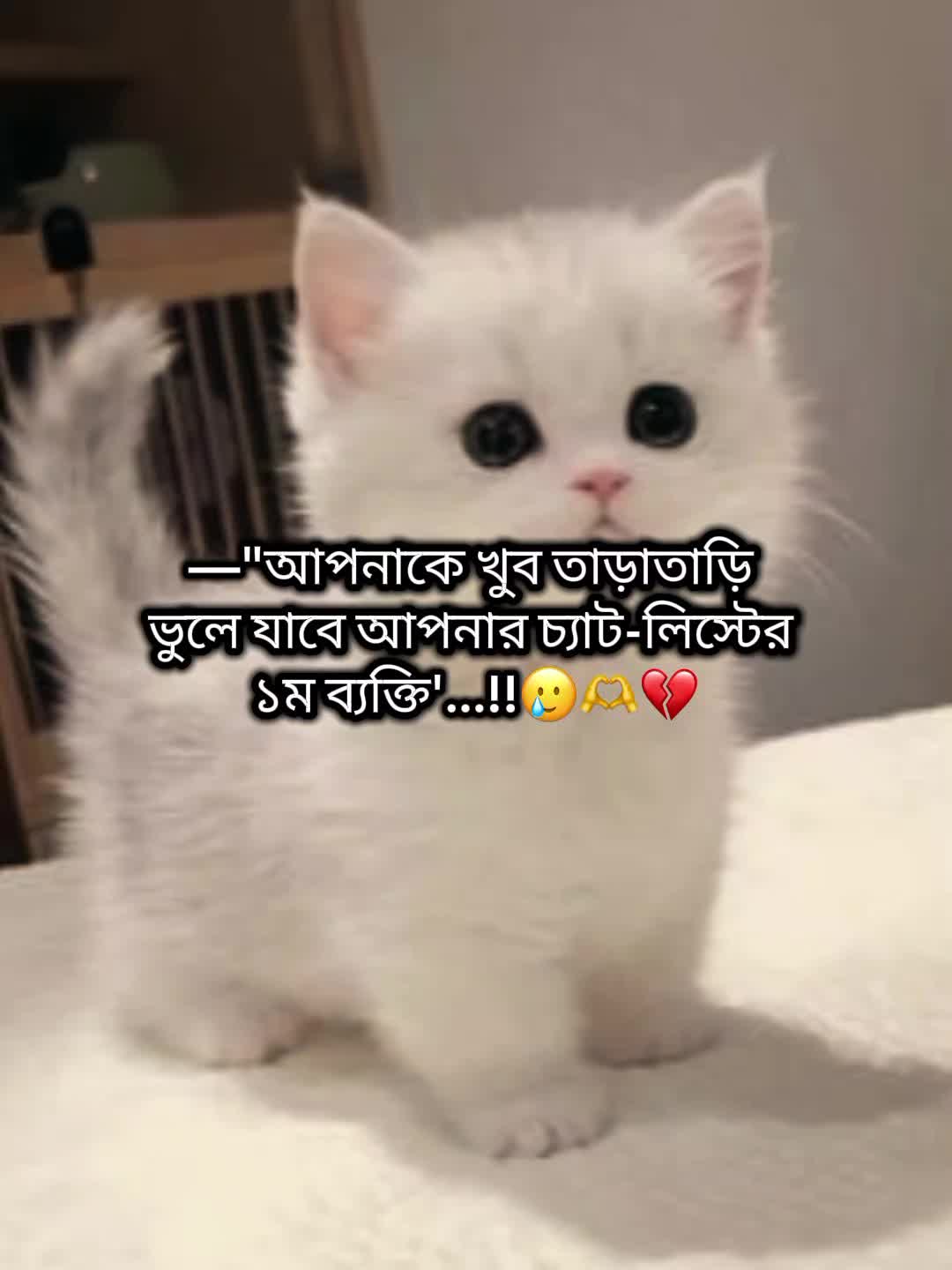 @⏤͟͟♡𝐉𝐢𝐬ꫝ𝐧ᥫ᭡𝐁𝐛𝐳♡𐙚🧃👄