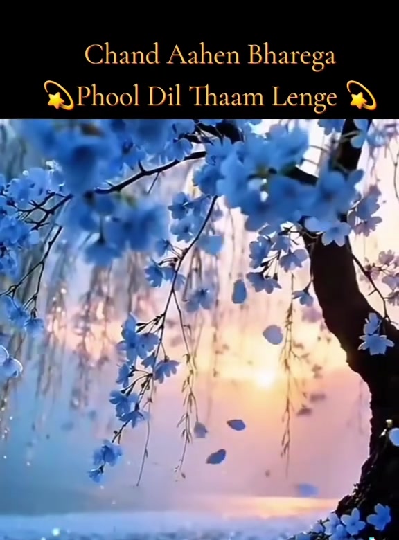 @jaspalrandhay