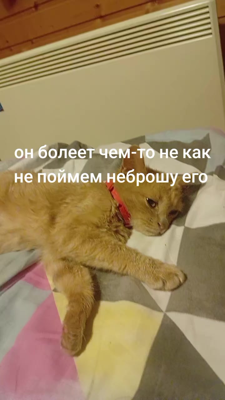 @антон азуевский