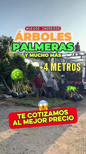 @VIVERO LAS G🦁RDENIAS|TRUJILLO