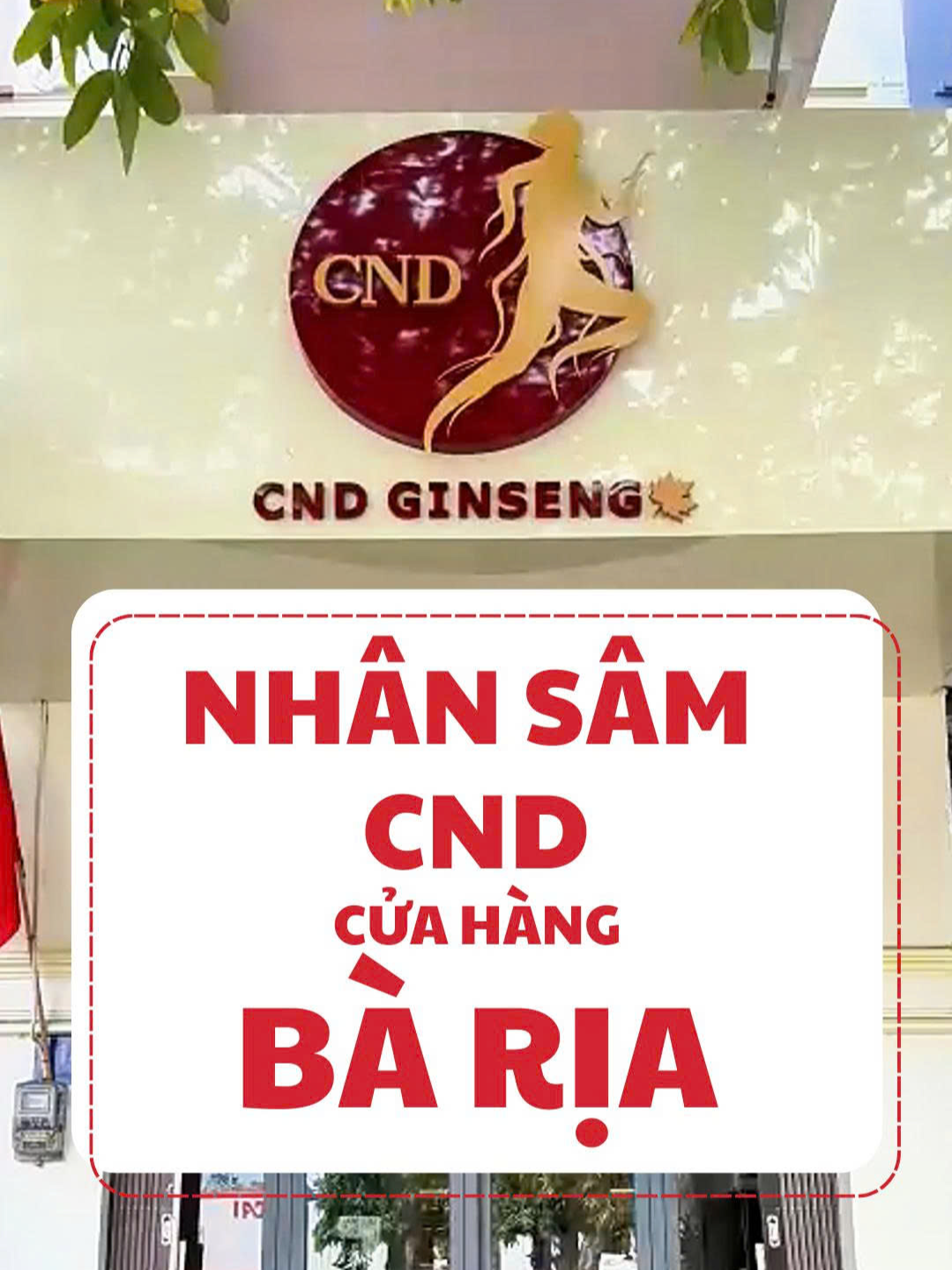 @CND GINSENG B&agrave; Rịa