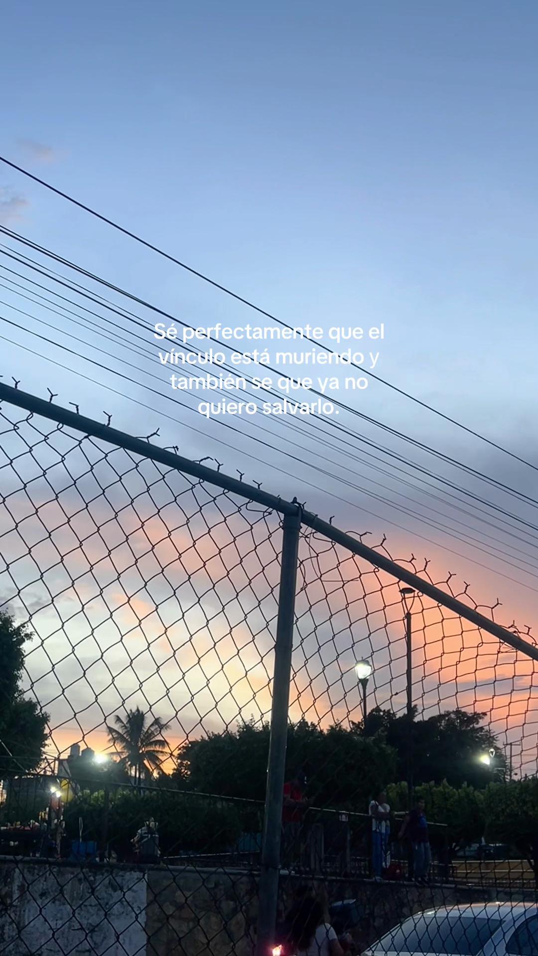 @𝓜𝓲𝓼𝓱🐾