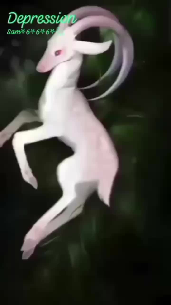 @⛧SAM666🜏𓃵⛧