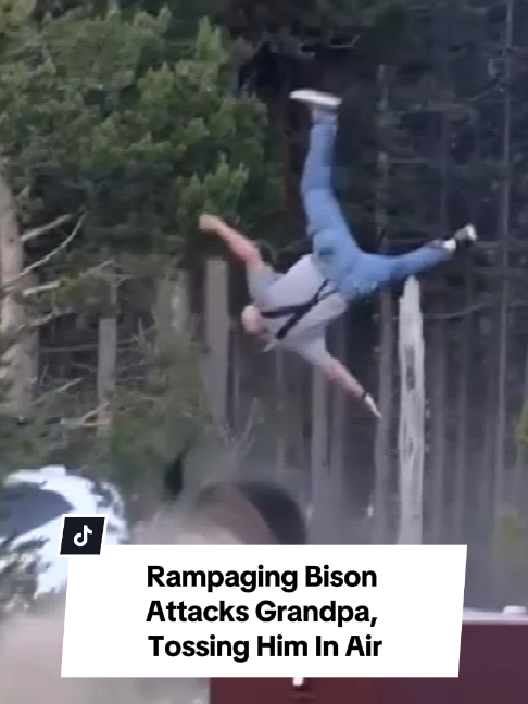 @Inside Edition