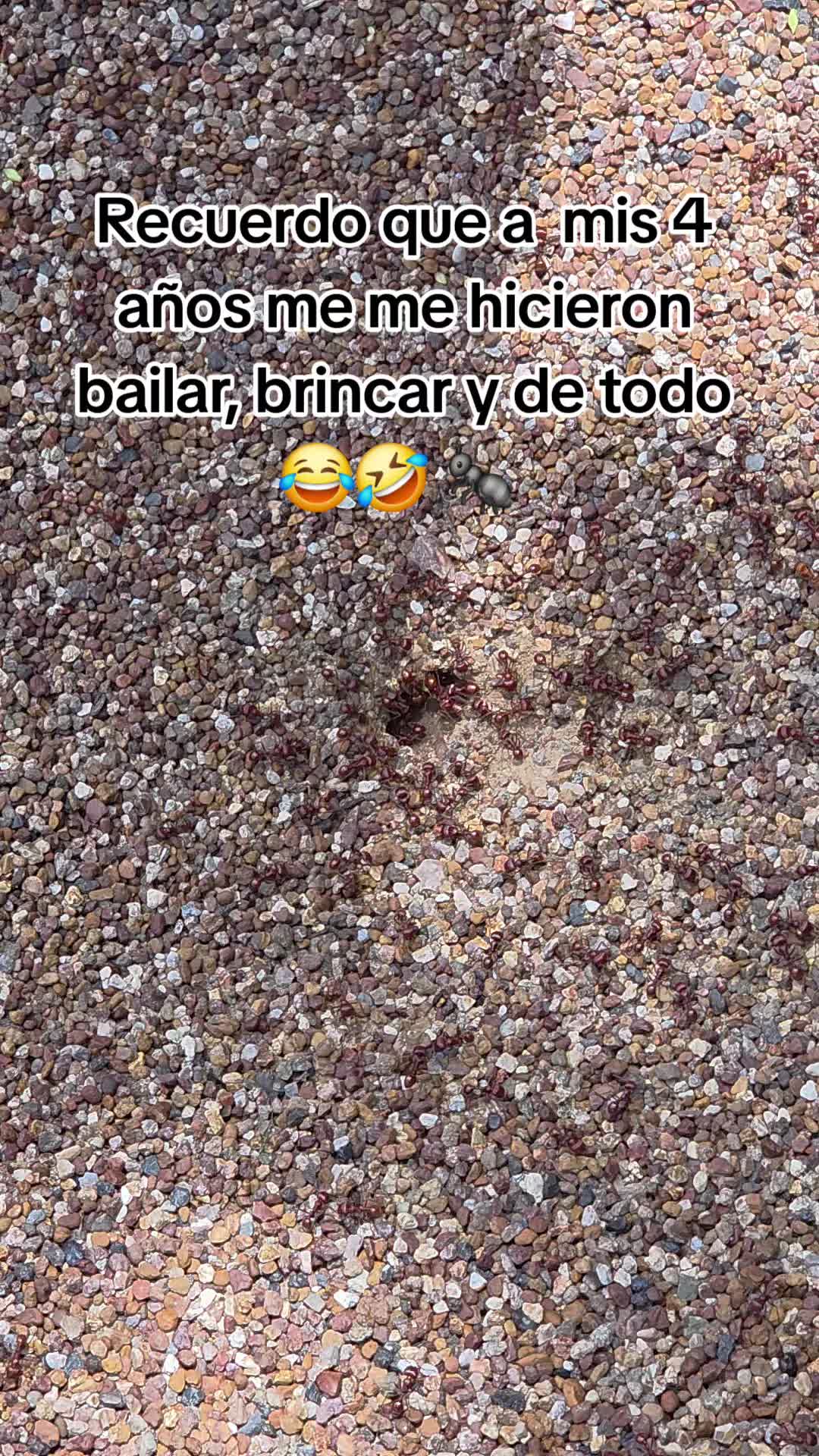 @C H E L A