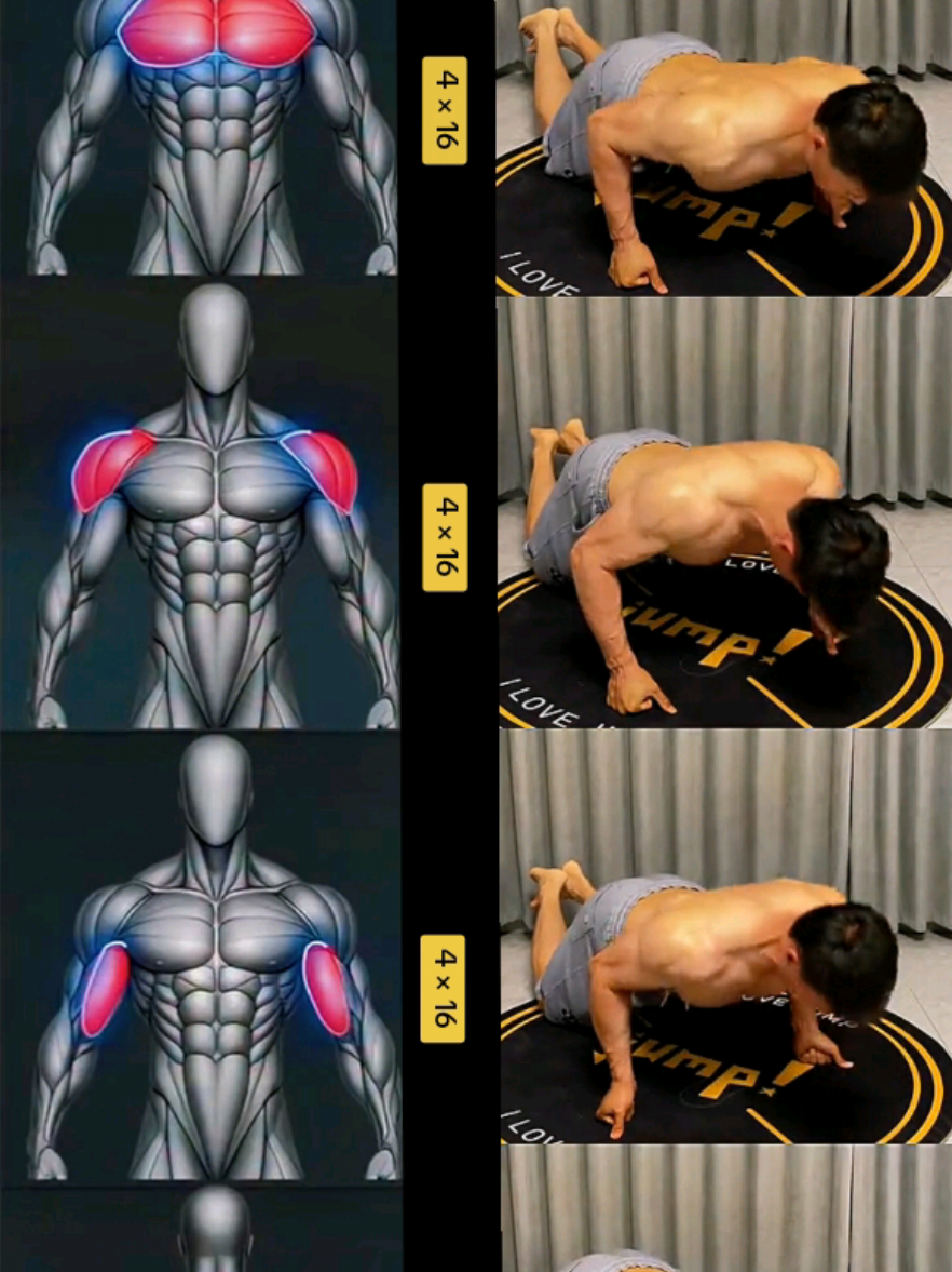 @𝑮𝒚𝒎.𝑭𝒊𝒕𝒏𝒆𝒔𝒔