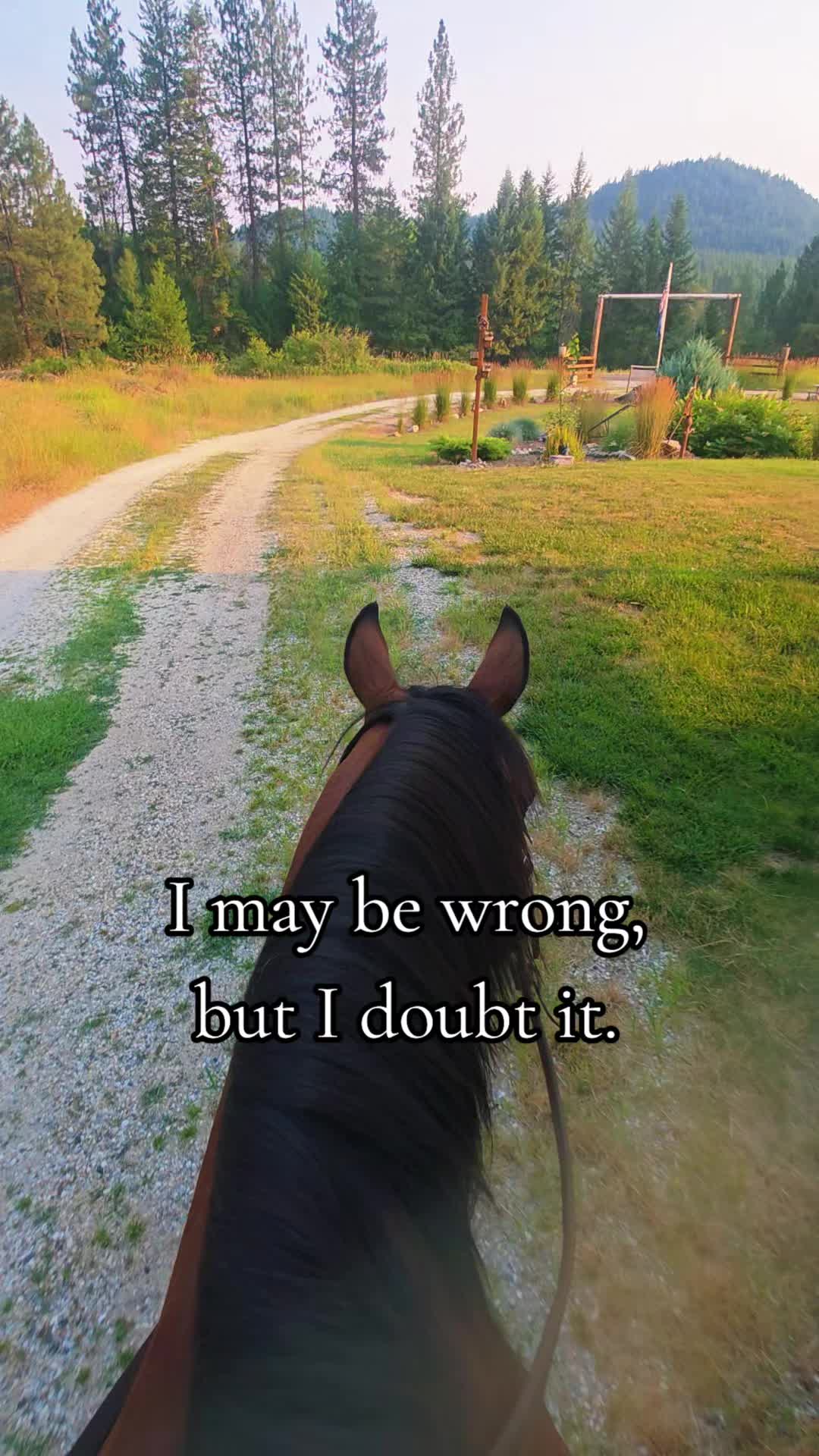 @🐴 ColdMountainRanch 🏇