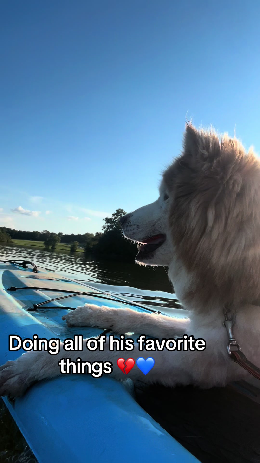 @sue.em_boomer