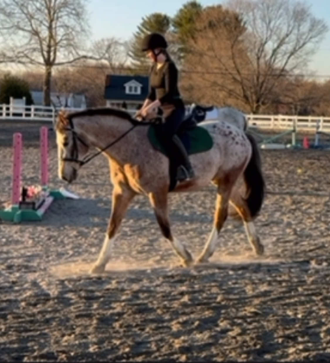 @Equestrian 🐴🐎