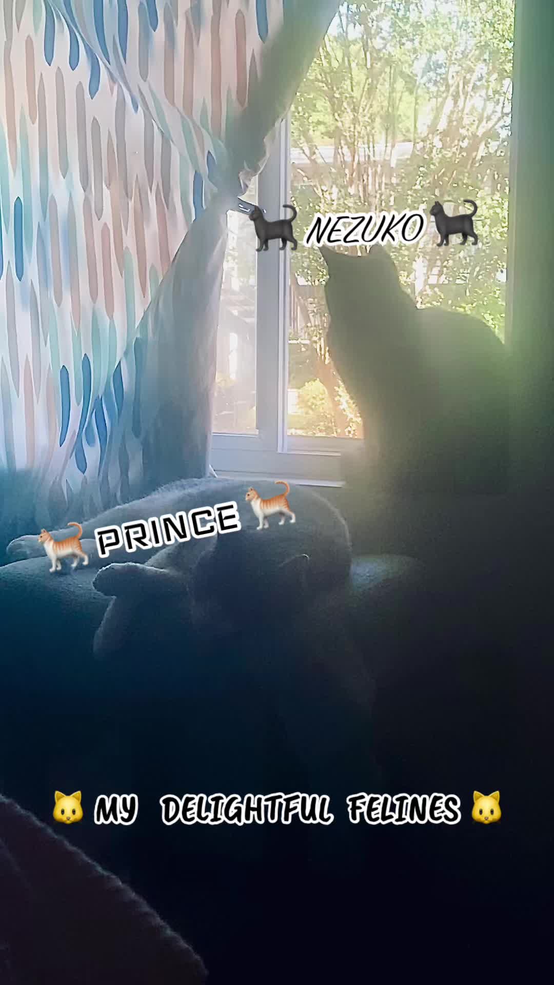 @Broken_Madness_666