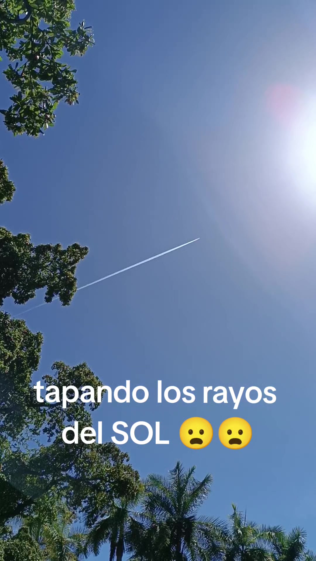 @alonsocotaquintero