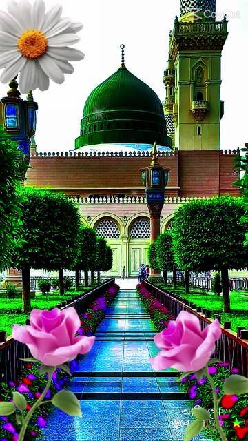 @❇️🌹❇️🩵❇️🍒❇️❤️❇️♥️❇️💙❇️