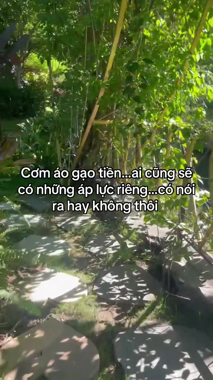 @Mquanhjhj