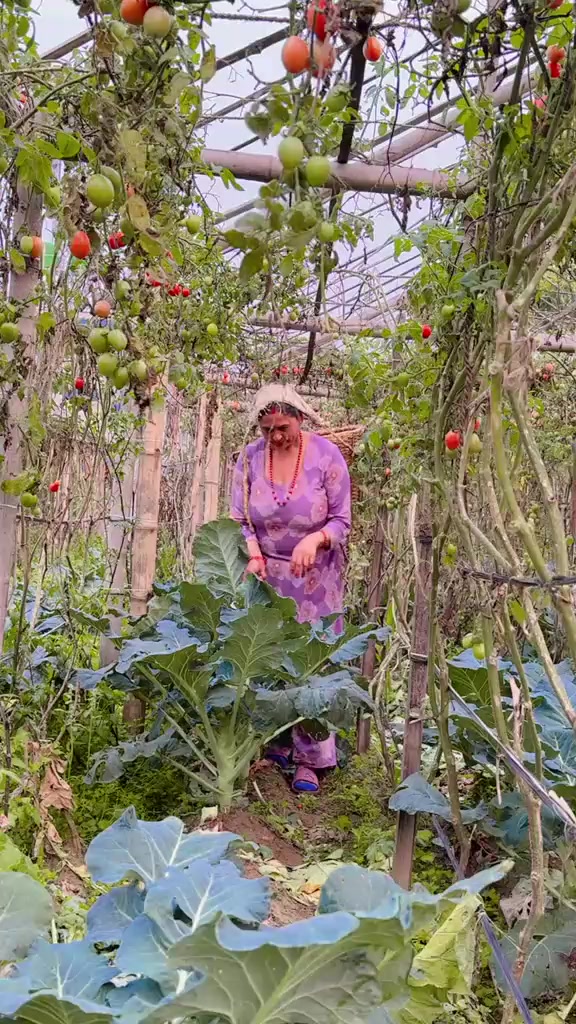 @laxmi Adhikari