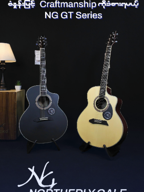 @TNL_Guitar_Store