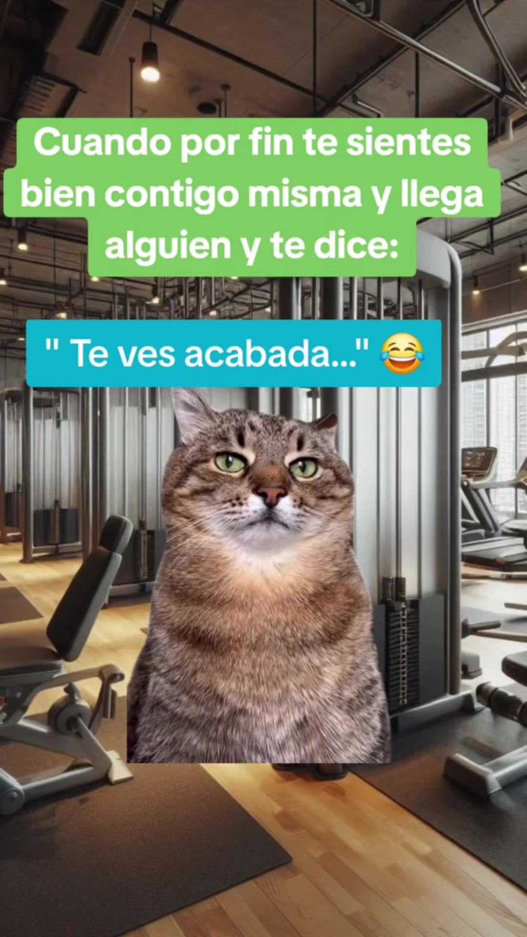 @Memesfactory