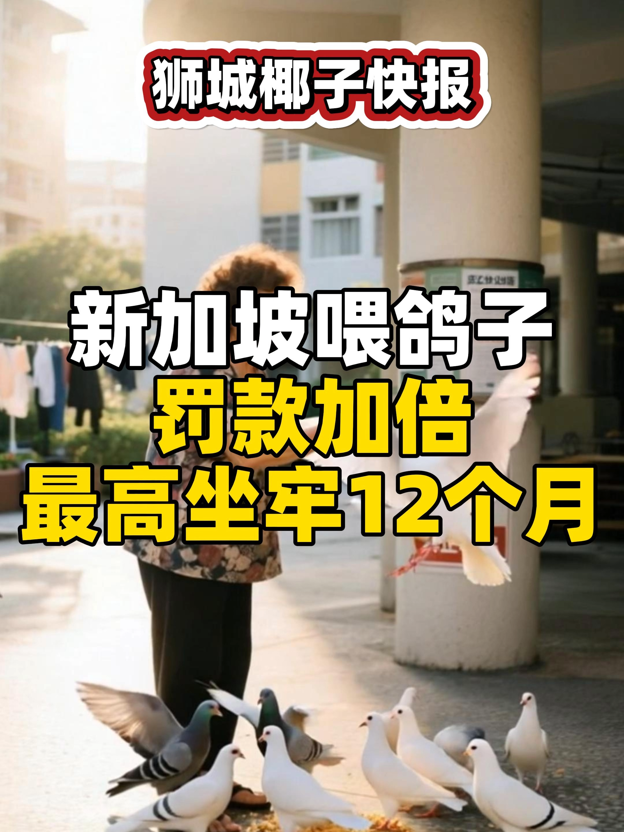 @新加坡狮城椰子